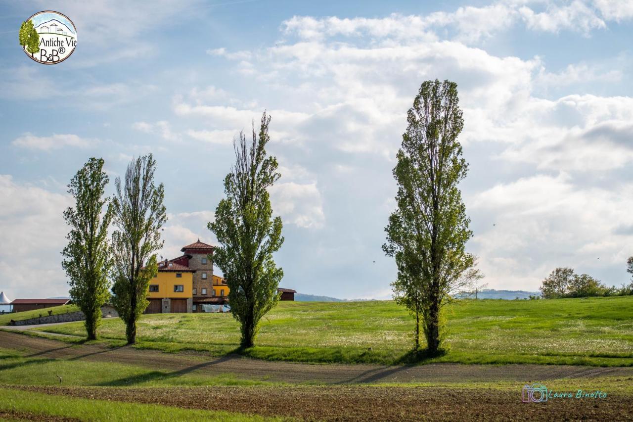 Antiche Vie B&B Serramazzoni Dış mekan fotoğraf