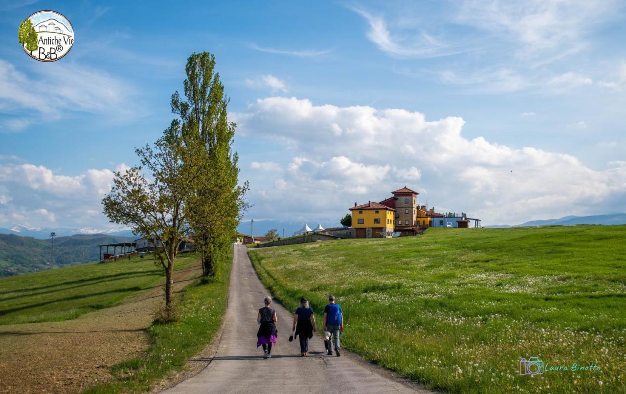 Antiche Vie B&B Serramazzoni Dış mekan fotoğraf