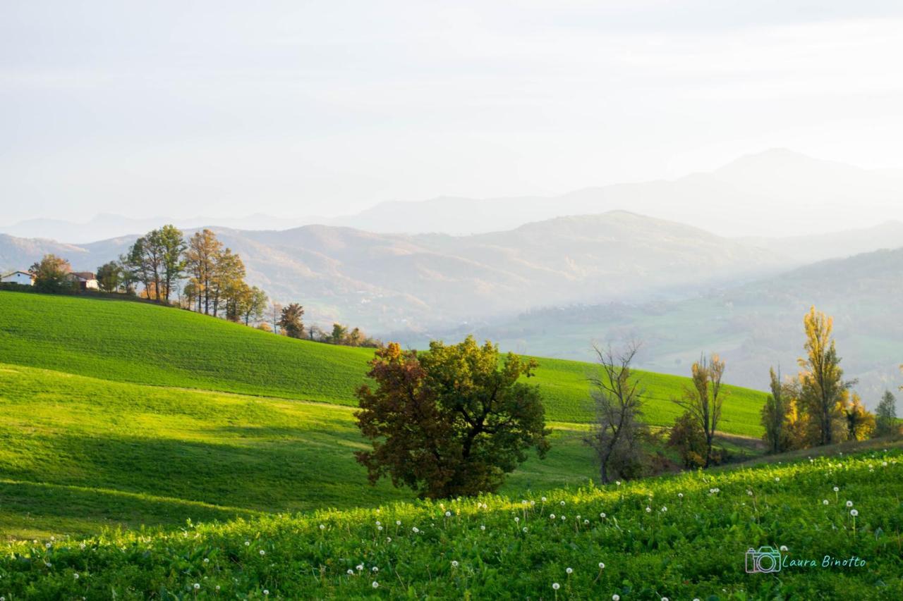 Antiche Vie B&B Serramazzoni Dış mekan fotoğraf